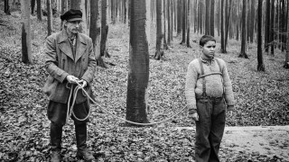 Кадр з фільму Пофарбоване пташеня