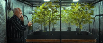 Кадр з фільму СуперАлібі 2