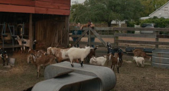 Кадр з фільму Втрачений чоловік