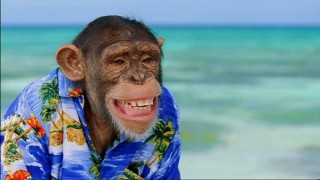 Кадр з фільму Найкращий друг шпигуна