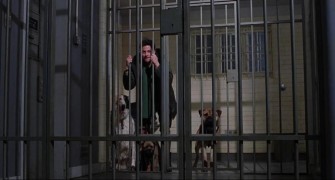 Кадр з фільму 102 далматинці