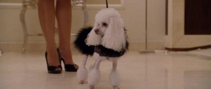 Кадр з фільму Крихітка з Беверлі-Гіллз