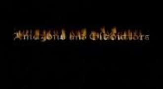 Кадр з фільму Амазонки та гладіатори