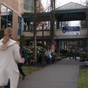 Кадр з фільму День святого Валентина у винограднику