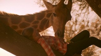 Кадр з фільму Проти природи 2: Вижити в Серенгет