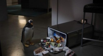 Кадр з фільму Пінгвіни містера Поппера