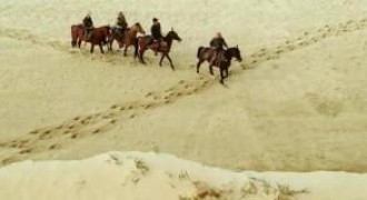 Кадр з фільму Літнє кохання