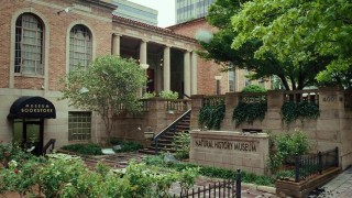 Кадр з фільму Нереальний блокбастер