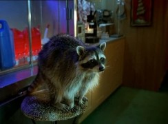 Кадр з фільму Король повітря. Сьома подача