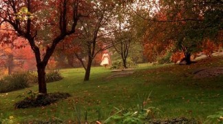 Кадр з фільму Інша жінка