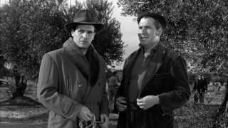 Кадр з фільму Вірідіана