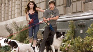 Кадр з фільму Готель для собак