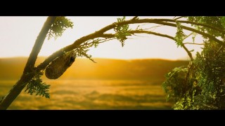 Кадр з фільму Прогулянки з динозаврами