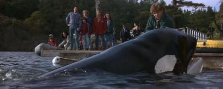 Кадр з фільму Звільніть Віллі 2. Нова пригода