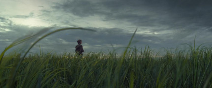 Кадр з фільму Смерчі