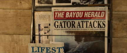 Кадр з фільму Ідеальний хижак