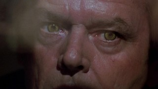 Кадр з фільму Вовк