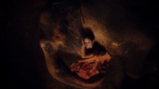 Кадр з фільму Втеча з Фіоною