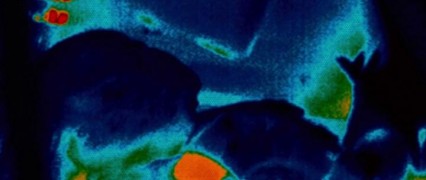 Кадр з фільму Чужі Проти Хижака: Реквієм