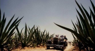 Кадр з фільму Фріда