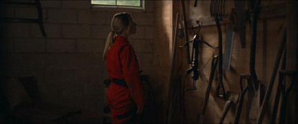 Кадр з фільму Гнів Беккі