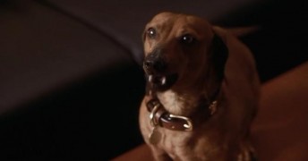 Кадр з фільму Пізнай себе