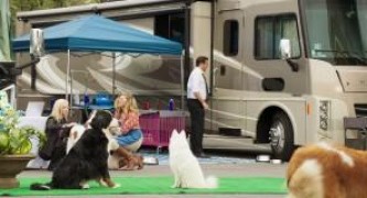 Кадр з фільму Поліцейський пес