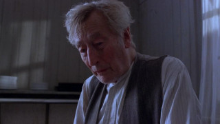 Кадр з фільму Павук