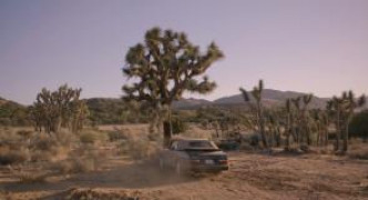 Кадр з фільму Квітка