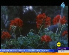 Кадр з фільму Остання мішень