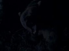 Кадр з фільму Лють грізлі