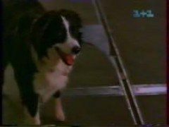 Кадр з фільму Повернення додому