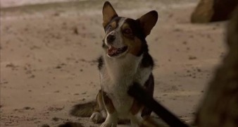 Кадр з фільму Робінзон Крузо