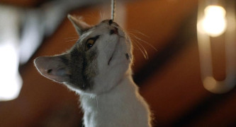 Кадр з фільму Володарі хаосу