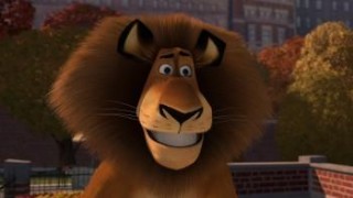 Кадр з фільму Мадагаскар