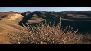 Кадр з фільму Жінка години