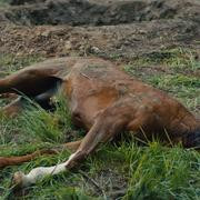 Кадр з фільму Віхола душ