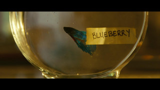 Кадр з фільму Мій шпигун: Вічне місто