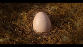 Кадр з фільму Втеча з курника: Світанок наггетсів