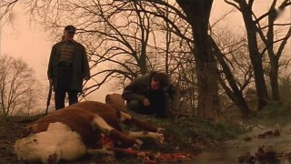 Кадр з фільму Людина-личинка