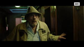 Кадр з фільму Пригоди Мікі Метсона: Піратський кодекс