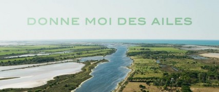 Кадр з фільму Розправ крила