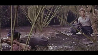 Кадр з фільму Неймовірний Тарзан