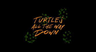 Кадр з фільму Черепахи аж до низу