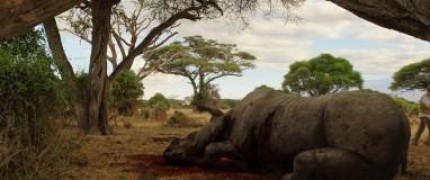 Кадр з фільму Хижаки