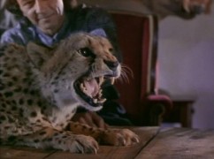 Кадр з фільму Кікбоксер 5: Відплата