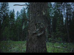 Кадр з фільму Потяг у снах