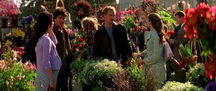 Кадр з фільму Весільний переполох