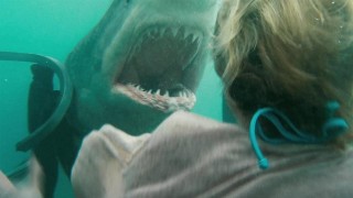 Кадр з фільму Щелепи в 3D