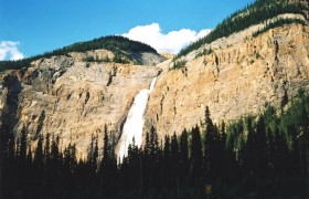 Кадр з фільму Останній з собачого племені